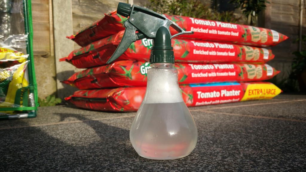 Home Made Bug Spray